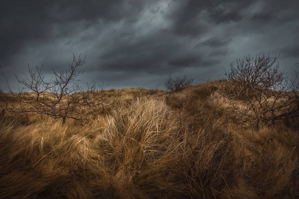 Sky — Rebecca Bennett photography